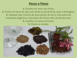 Passo a Passo
1. Escolha um vaso com furos;
2. Encha um terço do vaso com brita ou pó de brita, para a drenagem;
3. Coloque uma mistura de duas partes de terra, uma parte de
composto orgânico e uma parte de húmus até a borda do vaso;
4. Espalhe um pouco de areia;
5. Plante as mudas;
 