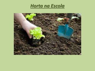 Horta na Escola
 