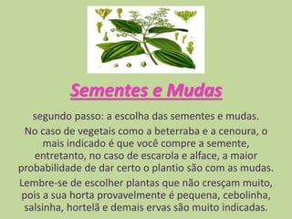 Sementes e Mudas
segundo passo: a escolha das sementes e mudas.
No caso de vegetais como a beterraba e a cenoura, o
mais indicado é que você compre a semente,
entretanto, no caso de escarola e alface, a maior
probabilidade de dar certo o plantio são com as mudas.
Lembre-se de escolher plantas que não cresçam muito,
pois a sua horta provavelmente é pequena, cebolinha,
salsinha, hortelã e demais ervas são muito indicadas.
 