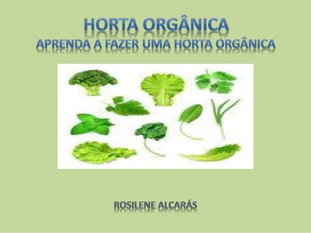 Curso horta organica