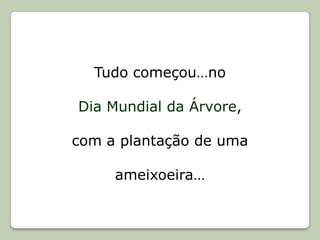 Tudo começou…no Dia Mundial da Árvore,com a plantação de uma ameixoeira…