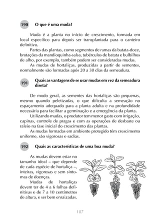 107
O que é uma muda?
Muda é a planta no início de crescimento, formada em
local específico para depois ser transplantada para o canteiro
definitivo.
Partes das plantas, como segmentos de ramas da batata-doce,
brotações da mandioquinha-salsa, tubérculos de batata e bulbilhos
de alho, por exemplo, também podem ser consideradas mudas.
As mudas de hortaliças, produzidas a partir de sementes,
normalmente são formadas após 20 a 30 dias da semeadura.
Quais as vantagens de se usar mudas em vez da semeadura
direta?
De modo geral, as sementes das hortaliças são pequenas,
mesmo quando peletizadas, o que dificulta a semeação no
espaçamento adequado para a planta adulta e na profundidade
necessária para facilitar a germinação e a emergência da planta.
Utilizando mudas, o produtor tem menor gasto com irrigação,
capinas, controle de pragas e com as operações de desbaste ou
raleio na fase inicial do crescimento das plantas.
As mudas formadas em ambiente protegido têm crescimento
uniforme, são vigorosas e sadias.
Quais as características de uma boa muda?
As mudas devem estar no
tamanho ideal – que depende
de cada espécie de hortaliça –,
inteiras, vigorosas e sem sinto-
mas de doenças.
Mudas de hortaliças
devem ter de 4 a 6 folhas defi-
nitivas e de 7 a 10 centímetros
de altura, e ser bem enraizadas.
190
191
192
 