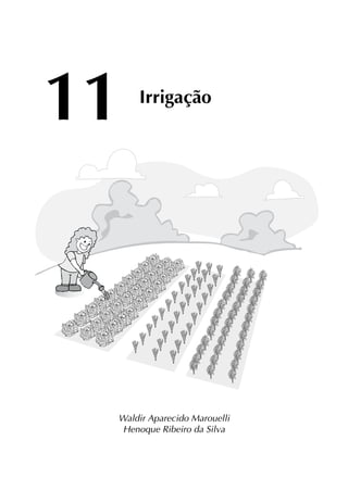 Waldir Aparecido Marouelli
Henoque Ribeiro da Silva
11 Irrigação
 