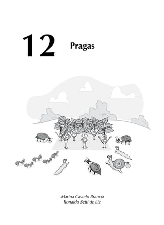 Marina Castelo Branco
Ronaldo Setti de Liz
12 Pragas
 