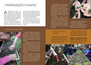 1716
PROPAGAÇÃO E PLANTIO•
propagação, ou seja, a ma-
neira como as hortaliças são
multiplicadas, na maioria das
vezes é feita por sementes; também
há propagação feita pelo plantio de
suas partes vegetativas (partes dos
ramos, tubérculos e bulbos).
	 Para a propagação por partes ve-
getativas (mudas) procedentes da
planta matriz é importante a escolha
A de uma matriz saudável. Quando a
planta estiver com flor não se deve re-
tirar a muda pois a força do ramo esta
concentrada na produção das flores e
frutos e não vai enraizar bem.
	 Algumas plantas / espécies re-
querem tipos específicos de plan-
tio, as formas utilizadas são plantio
em sementeira e plantio definitivo
(direto):
•	 Plantio em sementeira
	 A profundidade para se plantar a
semente deverá ser de aproximada-
mente duas vezes o seu tamanho.
A rega para o desenvolvimento inicial
das sementes é muito importante, é
preciso manter o solo sempre úmido,
sem excessos de água. A sementeira
deverá ficar em local protegido, em
meia sombra.
	 Transplante – consiste na retira-
da das mudas da sementeira para
transplantar no local definitivo (can-
teiros, vasos e outros). O momento
ideal para este transplante é quando
as mudas estiverem com 4 a 6 folhas
definitivas ou com 4 a 5 cm de altura
(tamanho).
	 Escolha as plantas mais viçosas e
retire-as com terra junto à raiz.
	 Exemplos de hortaliças para se
plantar em sementeira: tomate, pi-
mentão, brócolis, couve, alface etc..
•	 Plantio definitivo 	 	
	 (direto)
	 Utilizada para espécies/culturas
que são semeadas diretamente no
local definitivo (canteiros, vasos, re-
cipientes) em sulcos maiores, sulcos
superficiais e berços (covas).
	 Tanto para o plantio direto como
para o transplante das mudas deverá
se fazer os berços (covas/ sulcos) obser-
vandooespaçamentoparacadaplanta.
Exemplos de hortaliças para
plantio definitivo: beterraba,
batata, cenoura, espinafre, ervilha,
nabo, quiabo, rúcula, salsinha etc.
	 Algumas plantas (sementes) ne-
cessitam de condições especificas
para germinar e crescer, a sementeira
é o local onde será feito o cultivo das
sementes que se tornarão mudinhas
para serem trasplantadas para o local
definitivo .
	 A sementeira pode ser a tradicio-
nal bandeja de isopor, ou em reci-
pientes reutilizados ou mesmo uma
parte do canteiro onde se deverá
plantar em sulcos (linhas afundadas
na terra) distanciados de aproxima-
damente 10 cm, cobrindo com terra
peneirada.
	 Para as bandejas de isopor ou
outros recipientes como caixotes
pequenos, utilizar como substrato
(terra) uma mistura contendo partes
iguais de areia, terra de jardim e terra
vegetal de preferência peneirada.
 