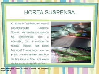 Maria Francisca Gomes da Silva – Tutora do Programa
PESC DRE-1
HORTA SUSPENSA
O trabalho realizado na escola
Desembargador Felísmino
Soares, demonstra que quando
há compromisso com a
educação, com a vontade de
realizar projetos não existe
barreiras! Funcionando em um
prédio de três andares, o cultivo
de hortaliças é feito em vasos
dispostos no terraço do edifício.
 