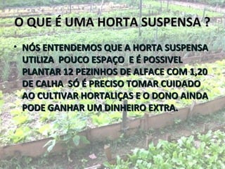 O QUE É UMA HORTA SUSPENSA ?
• NÓS ENTENDEMOS QUE A HORTA SUSPENSA
  UTILIZA POUCO ESPAÇO E É POSSIVEL
  PLANTAR 12 PEZINHOS DE ALFACE COM 1,20
  DE CALHA SÓ É PRECISO TOMAR CUIDADO
  AO CULTIVAR HORTALIÇAS E O DONO AINDA
  PODE GANHAR UM DINHEIRO EXTRA.
 