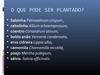 O QUE PODE SER PLANTADO?
   Salsinha Petroselinum crispum ,
   cebolinha Allium schoenoprasum,
   coentro Coriandrum ativum,
   boldo anão Vernonia condensata,
   erva cidreira Lippia alba,
   camomila Chamomilla recutita,
   poejo Mentha pulegium,
   sálvia Salvia officinalis.

 