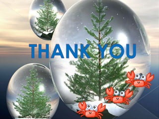 Hortatory exposition text