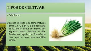 Tipos de cultivar
• Cebolinha:
Cresce melhor em temperaturas
entre 13 °C a 24 °C e de necessita
de luz solar direta ao menos por
algumas horas durante o dia.
Precisa ser regada com frequência
para que o solo seja mantido
úmido.
 