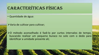 CARACTERÍTICAS FÍSICaS
• Quantidade de água:
Varia de cultivar para cultivar;
O método aconselhado é fazê-lo por curtos intervalos de tempo,
buscando realizar um pequeno buraco no solo com o dedo para
identificar a umidade presente ali;
 