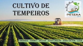 CULTIVO DE
TEMPEIROS
Amanda – Andry – Délcia - Jean Carlos - João Victor - Luna
 