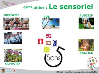 16
AUDITIFGUSTATIF
TACTILE
VUE
OLFACTIF
4ème pilier : Le sensoriel
 