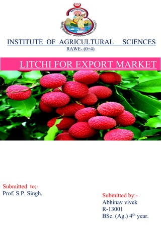 LITCHI FOR EXPORT MARKET
INSTITUTE OF AGRICULTURAL SCIENCES
RAWE- (0+4)
Submitted to:-
Prof. S.P. Singh. Submitted by:-
Abhinav vivek
R-13001
BSc. (Ag.) 4th
year.
 