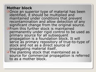 Mother block
Once an superior type of material has been
identified, it should be multiplied and
maintained under conditions that prevent
recontamination and allow detection of any
significant change from the original source.
From this further stock is maintained
permanently under rigid control to be used as
primary source for all subsequent
propagation is a foundation block. It will
serve as primary repository of true-to-type of
stock and not as a direct source of
propagating material itself.
The planting stock that maintained as a
source for commercial propagation is referred
to as a mother block.
 