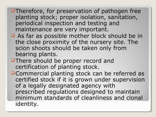Therefore, for preservation of pathogen free
planting stock; proper isolation, sanitation,
periodical inspection and testing and
maintenance are very important.
 As far as possible mother block should be in
the close proximity of the nursery site. The
scion shoots should be taken only from
bearing plants.
There should be proper record and
certification of planting stock.
Commercial planting stock can be referred as
certified stock if it is grown under supervision
of a legally designated agency with
prescribed regulations designed to maintain
minimum standards of cleanliness and clonal
identity.
 