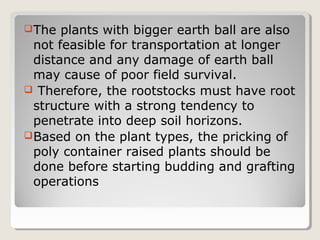 The plants with bigger earth ball are also
not feasible for transportation at longer
distance and any damage of earth ball
may cause of poor field survival.
 Therefore, the rootstocks must have root
structure with a strong tendency to
penetrate into deep soil horizons.
Based on the plant types, the pricking of
poly container raised plants should be
done before starting budding and grafting
operations
 