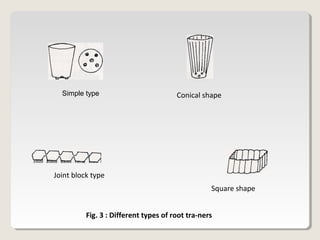 Simple type Conical shape
Joint block type
Square shape
Fig. 3 : Different types of root tra-ners
 