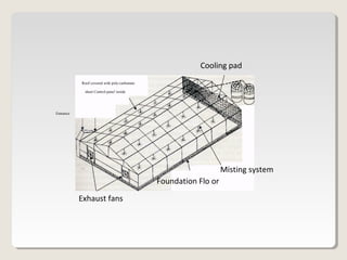 Cooling pad
Misting system
Foundation Flo or
Exhaust fans
Roof covered with poly-carbonate
sheet Control pane! inside
Entrance
 