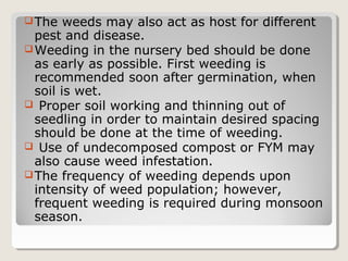 The weeds may also act as host for different
pest and disease.
Weeding in the nursery bed should be done
as early as possible. First weeding is
recommended soon after germination, when
soil is wet.
 Proper soil working and thinning out of
seedling in order to maintain desired spacing
should be done at the time of weeding.
 Use of undecomposed compost or FYM may
also cause weed infestation.
The frequency of weeding depends upon
intensity of weed population; however,
frequent weeding is required during monsoon
season.
 