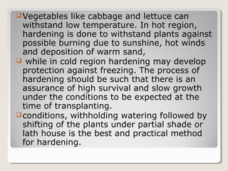 Vegetables like cabbage and lettuce can
withstand low temperature. In hot region,
hardening is done to withstand plants against
possible burning due to sunshine, hot winds
and deposition of warm sand,
 while in cold region hardening may develop
protection against freezing. The process of
hardening should be such that there is an
assurance of high survival and slow growth
under the conditions to be expected at the
time of transplanting.
conditions, withholding watering followed by
shifting of the plants under partial shade or
lath house is the best and practical method
for hardening.
 
