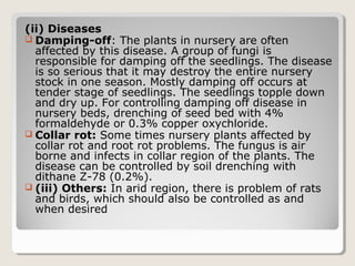 (ii) Diseases
 Damping-off: The plants in nursery are often
affected by this disease. A group of fungi is
responsible for damping off the seedlings. The disease
is so serious that it may destroy the entire nursery
stock in one season. Mostly damping off occurs at
tender stage of seedlings. The seedlings topple down
and dry up. For controlling damping off disease in
nursery beds, drenching of seed bed with 4%
formaldehyde or 0.3% copper oxychloride.
 Collar rot: Some times nursery plants affected by
collar rot and root rot problems. The fungus is air
borne and infects in collar region of the plants. The
disease can be controlled by soil drenching with
dithane Z­78 (0.2%).
 (iii) Others: In arid region, there is problem of rats
and birds, which should also be controlled as and
when desired
 