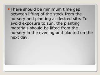There should be minimum time gap
between lifting of the stock from the
nursery and planting at desired site. To
avoid exposure to sun, the planting
materials should be lifted from the
nursery in the evening and planted on the
next day.
 