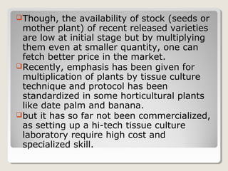 Though, the availability of stock (seeds or
mother plant) of recent released varieties
are low at initial stage but by multiplying
them even at smaller quantity, one can
fetch better price in the market.
Recently, emphasis has been given for
multiplication of plants by tissue culture
technique and protocol has been
standardized in some horticultural plants
like date palm and banana.
but it has so far not been commercialized,
as setting up a hi-tech tissue culture
laboratory require high cost and
specialized skill.
 