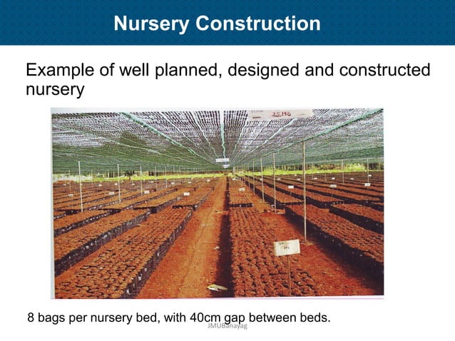 Agricultural Nursery Establishment and Management | PDF