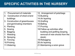 Agricultural Nursery Establishment and Management | PDF