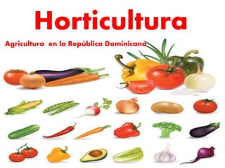 Horticultura
Agricultura en la República Dominicana
 