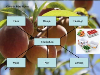Caso da Pêra Rocha




     Pêra              Cereja       Pêssego




                     Fruticultura




     Maçã               Kiwi         Citrinos
 