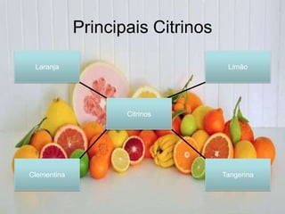 Principais Citrinos

 Laranja                            Limão




                    Citrinos




Clementina                         Tangerina
 