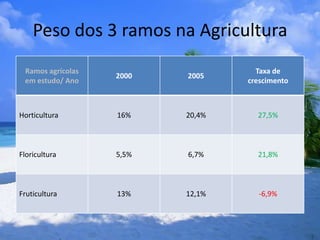 Peso dos 3 ramos na Agricultura
 Ramos agrícolas                    Taxa de
                   2000   2005
 em estudo/ Ano                   crescimento



Horticultura       16%    20,4%     27,5%



Floricultura       5,5%   6,7%      21,8%



Fruticultura       13%    12,1%      -6,9%
 