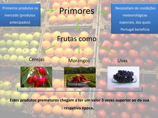 Primeiros produtos no                                       Necessitam de condições
 mercado (produtos
                              Primores                          meteorológicas
    antecipados)                                              especiais, das quais
                                                               Portugal beneficia

                             Frutas como

               Cerejas             Morangos                  Uvas




    Estes produtos prematuros chegam a ter um valor 3 vezes superior ao da sua
                                respetiva época.
 