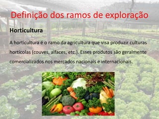 Definição dos ramos de exploração
Horticultura
A horticultura é o ramo da agricultura que visa produzir culturas
hortícolas (couves, alfaces, etc.). Esses produtos são geralmente
comercializados nos mercados nacionais e internacionais.
 