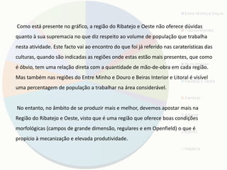 Como está presente no gráfico, a região do Ribatejo e Oeste não oferece dúvidas
quanto à sua supremacia no que diz respeito ao volume de população que trabalha
nesta atividade. Este facto vai ao encontro do que foi já referido nas caraterísticas das
culturas, quando são indicadas as regiões onde estas estão mais presentes, que como
é óbvio, tem uma relação direta com a quantidade de mão-de-obra em cada região.
Mas também nas regiões do Entre Minho e Douro e Beiras Interior e Litoral é visível
uma percentagem de população a trabalhar na área considerável.


No entanto, no âmbito de se produzir mais e melhor, devemos apostar mais na
Região do Ribatejo e Oeste, visto que é uma região que oferece boas condições
morfológicas (campos de grande dimensão, regulares e em Openfield) o que é
propício à mecanização e elevada produtividade.
 