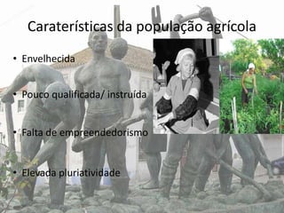 Caraterísticas da população agrícola
• Envelhecida


• Pouco qualificada/ instruída


• Falta de empreendedorismo


• Elevada pluriatividade
 
