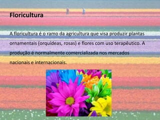 Floricultura

A floricultura é o ramo da agricultura que visa produzir plantas
ornamentais (orquídeas, rosas) e flores com uso terapêutico. A
produção é normalmente comercializada nos mercados
nacionais e internacionais.
 