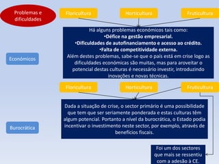 Problemas e    Floricultura               Horticultura                 Fruticultura
 dificuldades
                           Há alguns problemas económicos tais como:
                                  •Défice na gestão empresarial.
                    •Dificuldades de autofinanciamento e acesso ao crédito.
                               •Falta de competitividade externa.
                 Além destes problemas, sabe-se que o país está em crise logo as
Económicos
                    dificuldades económicas são muitas, mas para aroveitar o
                   potencial destas culturas é necessário investir, introduzindo
                                    inovações e novas técnicas.

                Floricultura               Horticultura                 Fruticultura


                Dada a situação de crise, o sector primário é uma possibilidade
                  que tem que ser seriamente ponderada e estas culturas têm
                algum potencial. Portanto a nível da burocrática, o Estado podia
Burocrática     incentivar o investimento neste sector, por exemplo, através de
                                       benefícios fiscais.

                                                           Foi um dos sectores
                                                          que mais se ressentiu
                                                           com a adesão à CE.
 