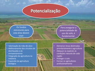 Os fundos                       Para assegurar a
       estruturais para                  potencialidade do
       esta área devem                     uso do solo, é
             visar:                        fundamental:



• Valorização da mão-de-obra      •   Demarcar áreas destinadas
• Melhoramento dos circuitos de       prioritariamente à agricultura
  distribuição e do               •   Adequar as espécies às
  armazenamento                       condições naturais de cada
• Integração da agricultura na        região
  indústria                       •   Proteger o solo
• Expansão da agricultura         •   Formar os agricultores
  biológica                           profissionalmente
 