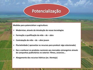 Medidas para potencializar a agricultura:

 Modernizar, através da introdução de novas tecnologias

 Formação e qualificação da mão – de – obra

 Contratação de mão – de – obra jovem

 Pluriatividade ( aproveitar os recursos para produzir algo relacionado)

 Dar a conhecer os produtos nacionais aos mercados estrangeiros através
  de campanhas publicitárias no exterior: filmes, anúncios…

 Alargamento dos recursos hídricos (ex. Alentejo)
 