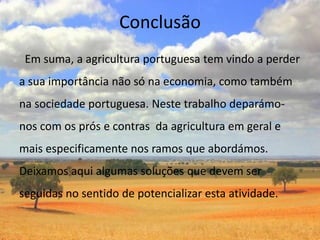 Conclusão
 Em suma, a agricultura portuguesa tem vindo a perder
a sua importância não só na economia, como também
na sociedade portuguesa. Neste trabalho deparámo-
nos com os prós e contras da agricultura em geral e
mais especificamente nos ramos que abordámos.
Deixamos aqui algumas soluções que devem ser
seguidas no sentido de potencializar esta atividade.
 