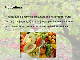 Fruticultura

A Fruticultura é o ramo da agricultura que visa produzir frutos
frescos (laranjas, maçãs) e secos (nozes, pinhões) com o intuito
de os comercializar nos mercados nacionais e internacionais.
 