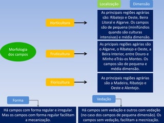 Localização         Dimensão

                                                       As principais regiões agrárias
                                                        são: Ribatejo e Oeste, Beira
                           Horticultura                Litoral e Algarve. Os campos
                                                       são de pequena (minifúndios
                                                           quando são culturas
                                                      intensivas) e média dimensão.
                                                      As pricipais regiões agárias são
   Morfologia                                         o Algarve, o Ribatejo e Oeste, a
   dos campos              Fruticultura                Beira Interior, entre Douro e
                                                        Minho eTrás-os Montes. Os
                                                         campos são de pequena e
                                                             média dimensão.

                                                       As principais regiões agrárias
                           Floricultura                 são a Madeira, Ribatejo e
                                                             Oeste e Alentejo.


      Forma                                         Vedação

 Há campos com forma regular e irregular.    Há campos sem vedação e outros com vedação
Mas os campos com forma regular facilitam   (no caso dos campos de pequena dimensão). Os
            a mecanização.                    campos sem vedação, facilitam a mecnização.
 