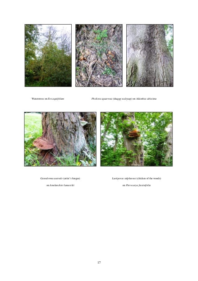 Horticultural Diary on Cambridge University Botanic Garden