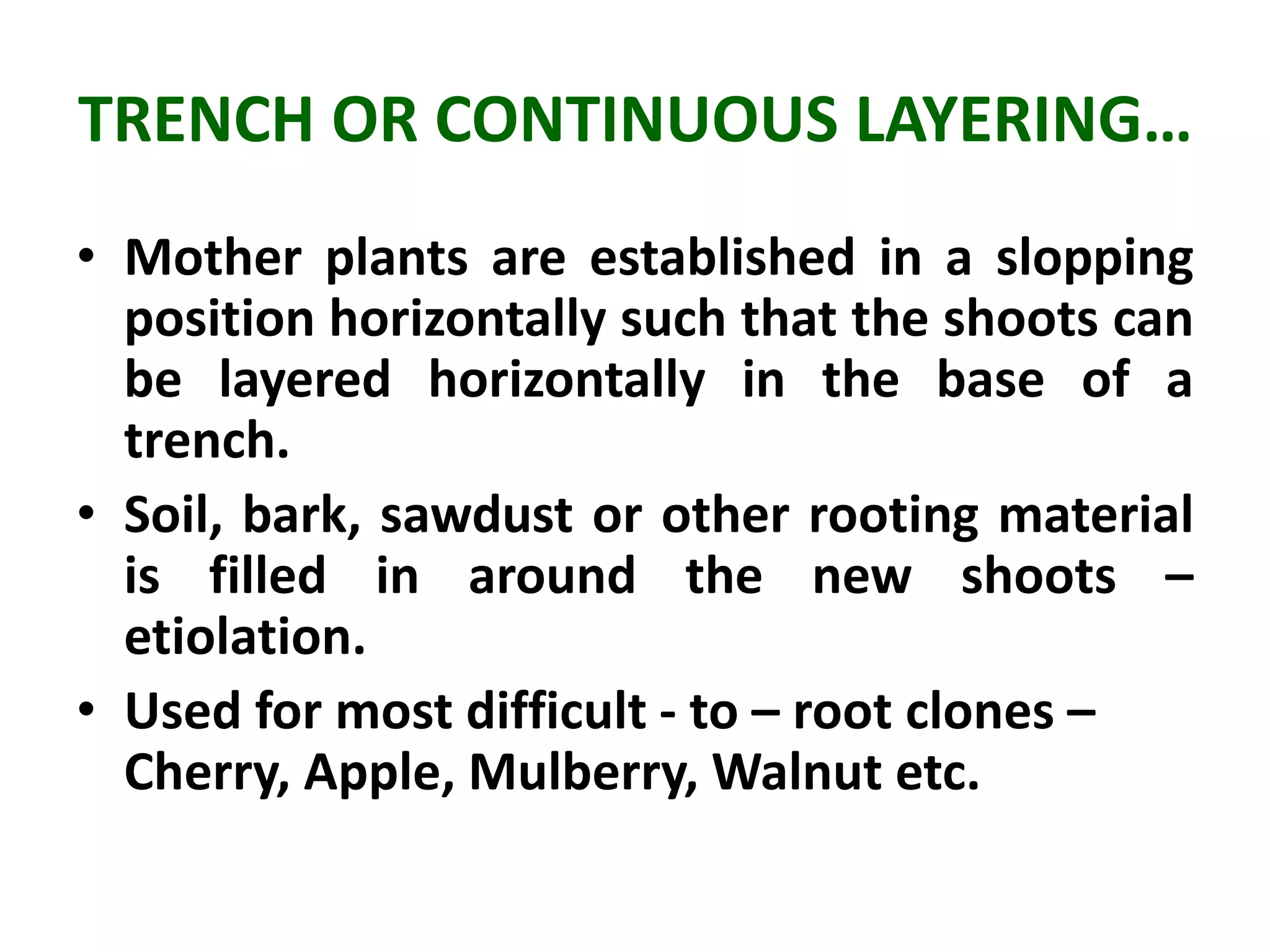 HORTICULTURAL PRACTICES : CUTTING, LAYERING, GRAFTING & BUDDING SMG | PPTX