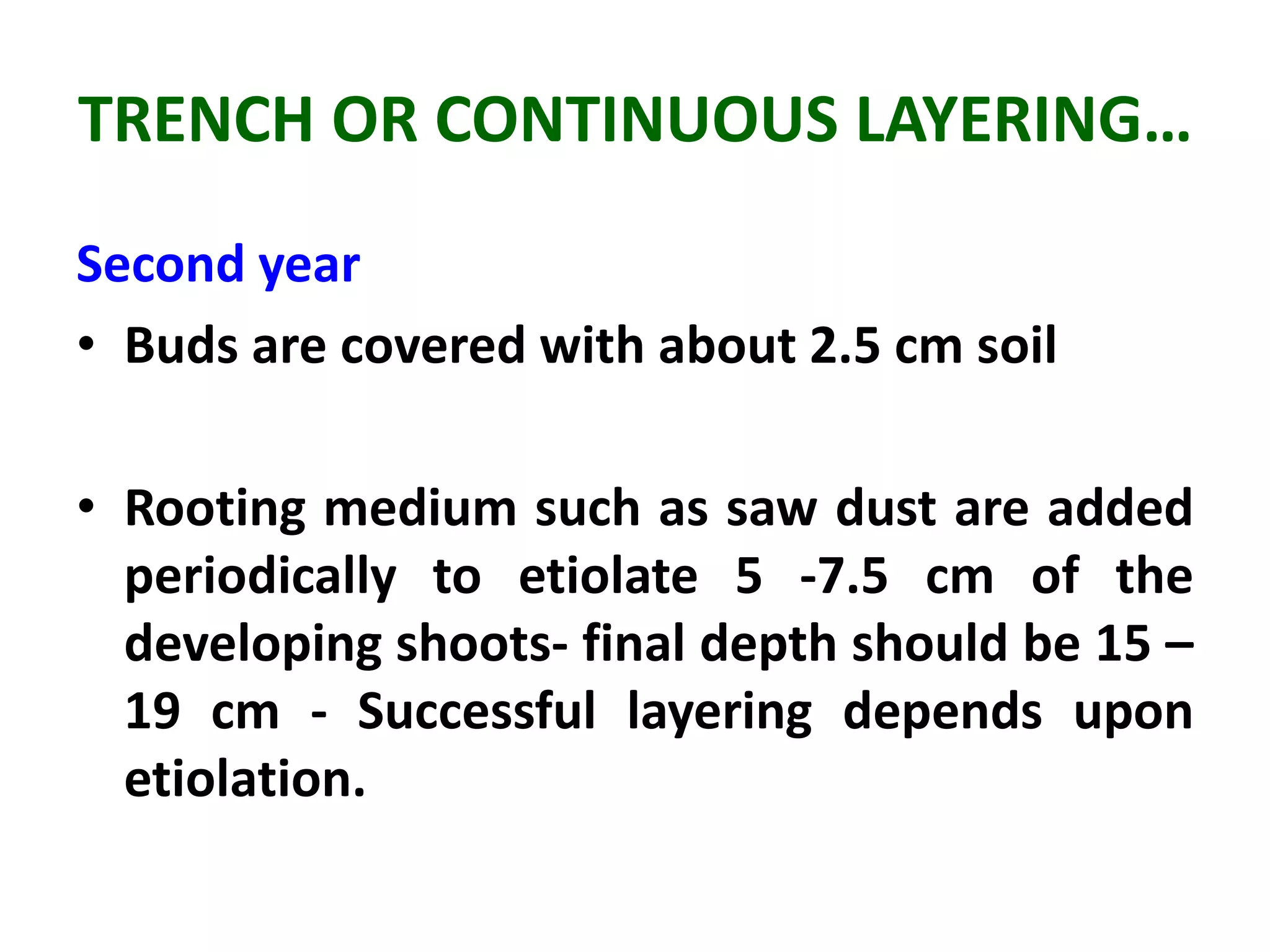 HORTICULTURAL PRACTICES : CUTTING, LAYERING, GRAFTING & BUDDING SMG | PPTX