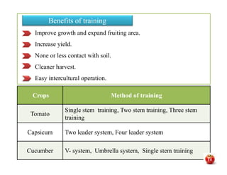 Improve growth and expand fruiting area.
Increase yield.
None or less contact with soil.
Cleaner harvest.
Easy intercultural operation.
Benefits of training
Crops Method of training
Tomato
Single stem training, Two stem training, Three stem
training
Capsicum Two leader system, Four leader system
Cucumber V- system, Umbrella system, Single stem training
14
 