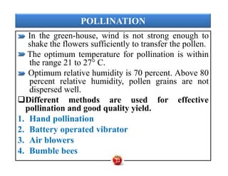 POLLINATION
In the green­house, wind is not strong enough to
shake the flowers sufficiently to transfer the pollen.
The optimum temperature for pollination is within
the range 21 to 27° C.
Optimum relative humidity is 70 percent. Above 80
percent relative humidity, pollen grains are not
dispersed well.
Different methods are used for effective
pollination and good quality yield.
1. Hand pollination
2. Battery operated vibrator
3. Air blowers
4. Bumble bees
In the green­house, wind is not strong enough to
shake the flowers sufficiently to transfer the pollen.
The optimum temperature for pollination is within
the range 21 to 27° C.
Optimum relative humidity is 70 percent. Above 80
percent relative humidity, pollen grains are not
dispersed well.
Different methods are used for effective
pollination and good quality yield.
1. Hand pollination
2. Battery operated vibrator
3. Air blowers
4. Bumble bees
22
 